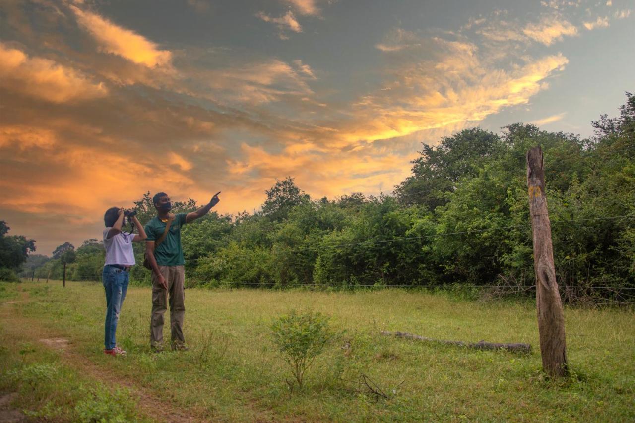 Mahoora Udawalawe - By Eco Team Hotel ภายนอก รูปภาพ