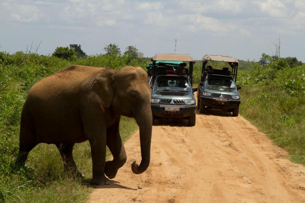 Mahoora Udawalawe - By Eco Team Hotel ภายนอก รูปภาพ
