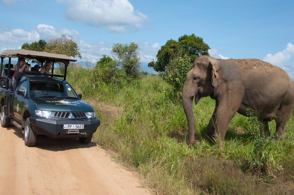 Mahoora Udawalawe - By Eco Team Hotel ภายนอก รูปภาพ